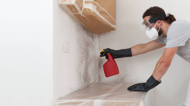 Professional Bathroom Mold Removal technician working in Richardson, TX