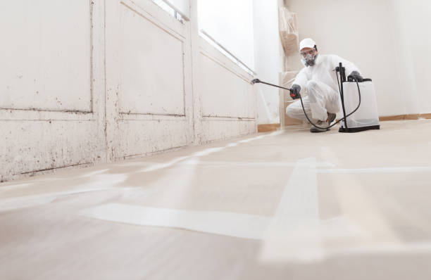 24/7 Emergency Bathroom Mold Removal experts in Richardson, TX